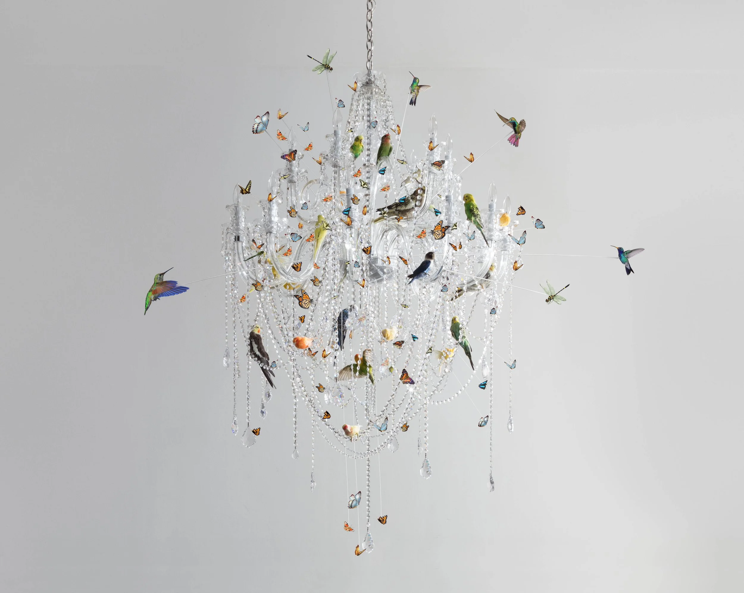 Spring Chandelier — Sebastian Errazuriz Studio